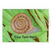 Snail Watercolor (Front Horizontal)