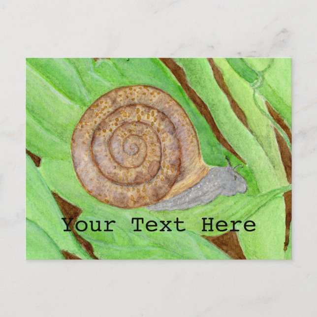 Snail Watercolor Postcard (Front)