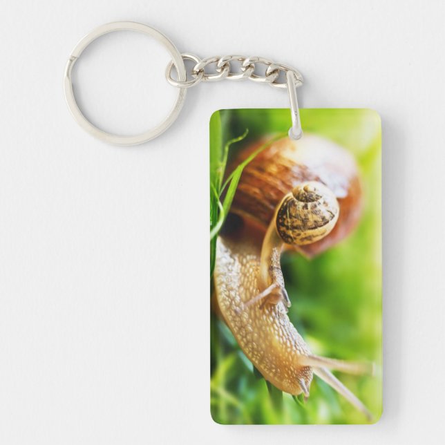 Snails Keychain (Front)