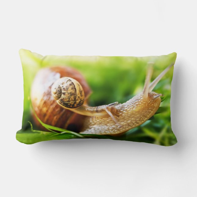 Snails Lumbar Pillow (Front)
