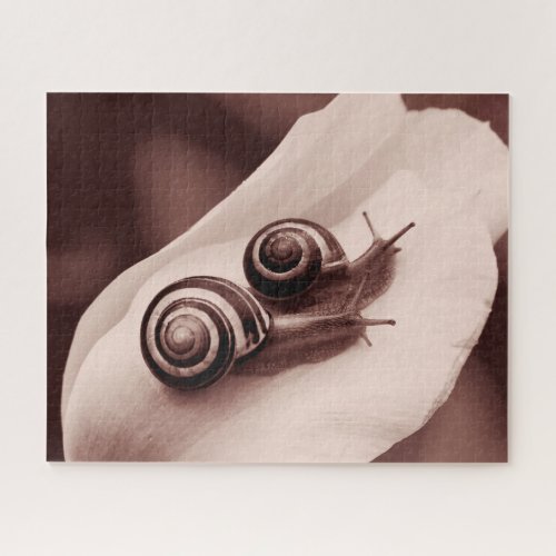 Snails on Rose Jigsaw Puzzle