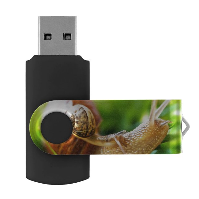 Snails USB Flash Drive (Opened)
