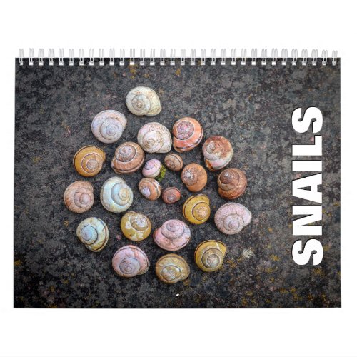 Snails Wall Calendar