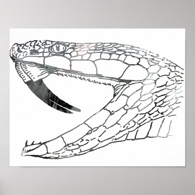 snake 6.png poster (Front)