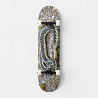 Snake 7¾" Skateboard