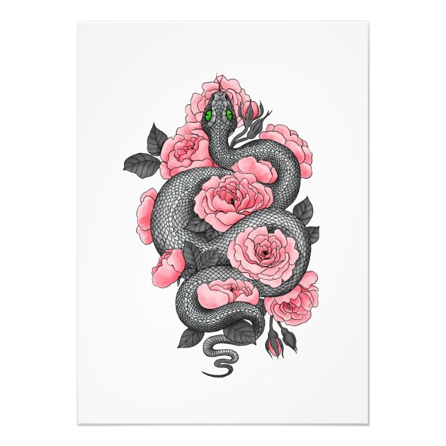 Snake and peach roses photo print (Front)