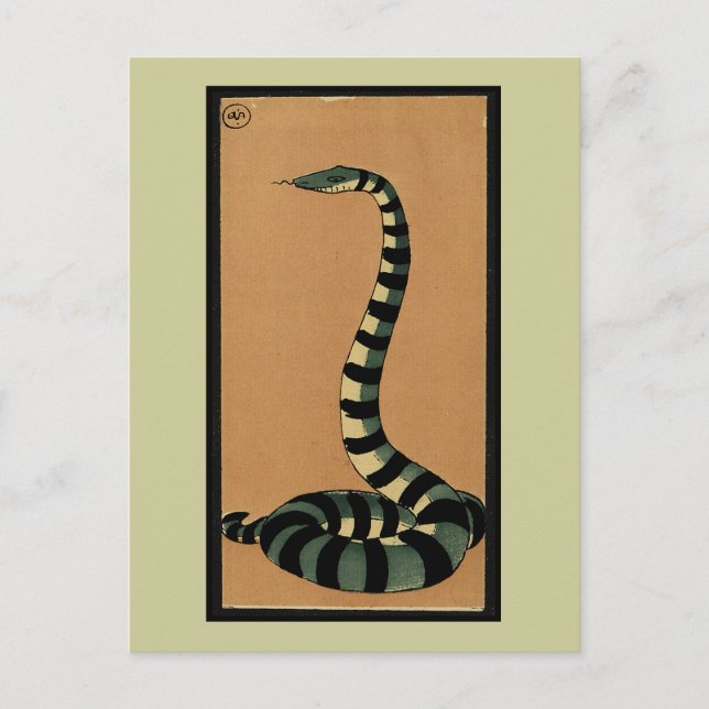 Snake - Antiquarian, Colorful Book Illustration Postcard (Front)