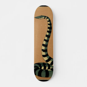 Snake - Antiquarian, Colorful Book Illustration Skateboard