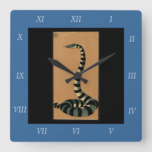 Snake _ Antiquarian Colorful Book Illustration Square Wall Clock