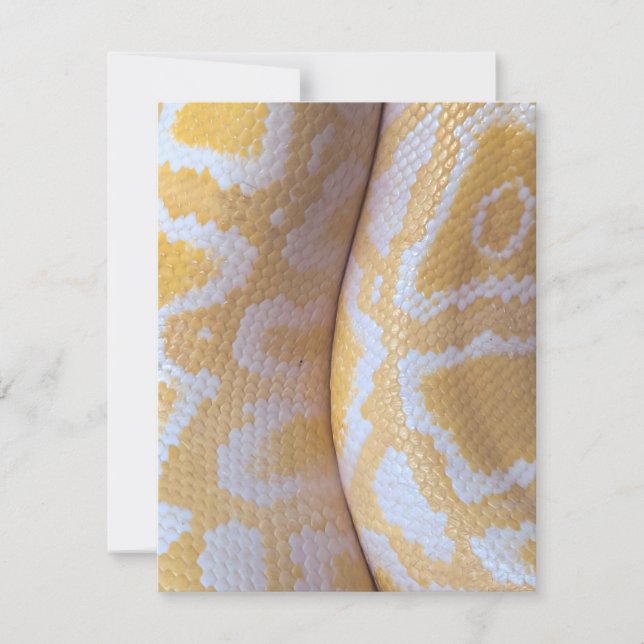 Snake Birthday Card Happy Birthday Snake (Front)