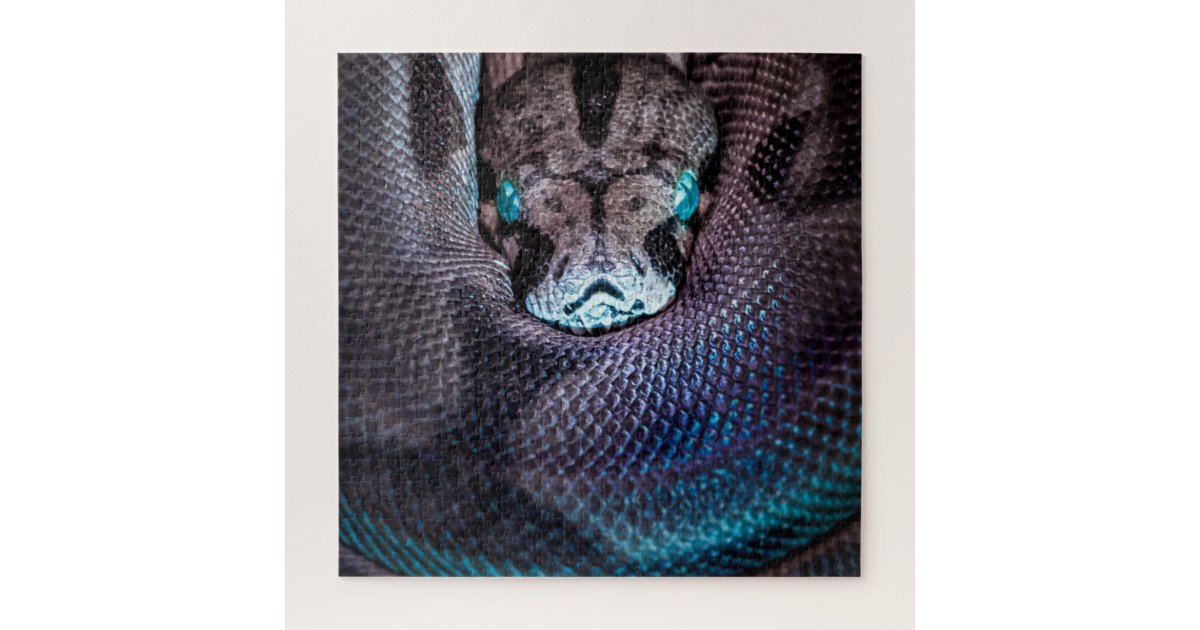 Snake boa anaconda python reptile snakeskin jigsaw puzzle | Zazzle