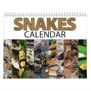 Snake Calendar