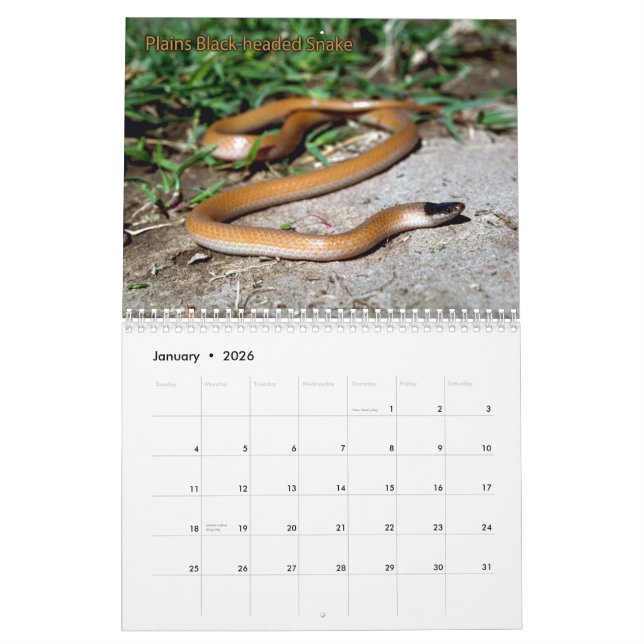 Snake Calendar (Jan 2026)