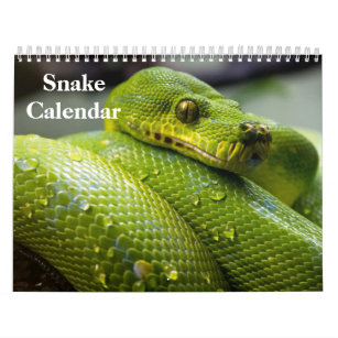 Snake Calendar 2024