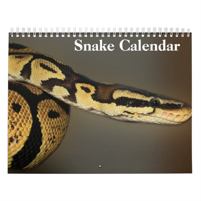 Snake Calendar 2026 (Cover)