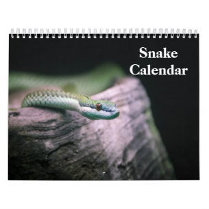 Snake Calendar 2026