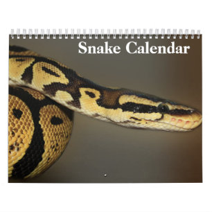 Snake Calendar 2027