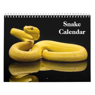 Snake Calendar 2027