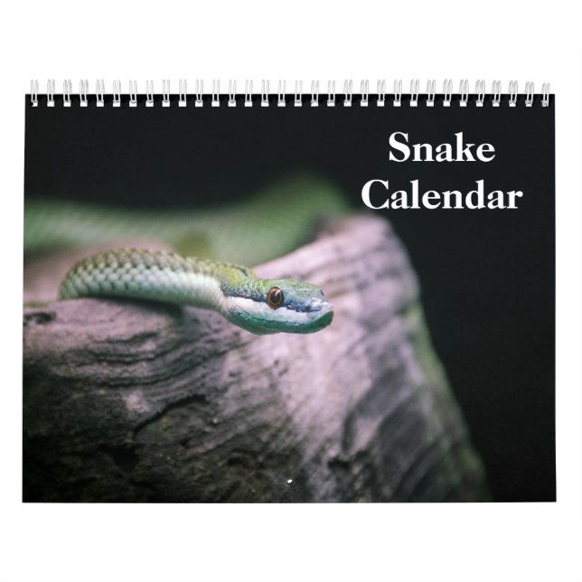 Snake Calendar 2027 (Cover)