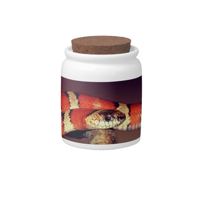 Snake Candy Jar (Front)