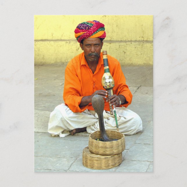Snake Charmer In India Postcard (Front)