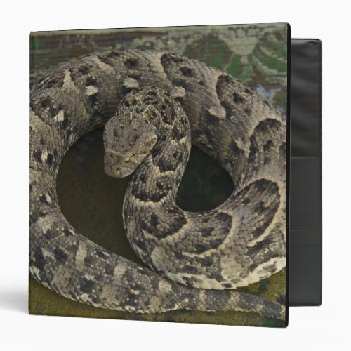 Snake Charmers African Puff_adder Bitis Binder