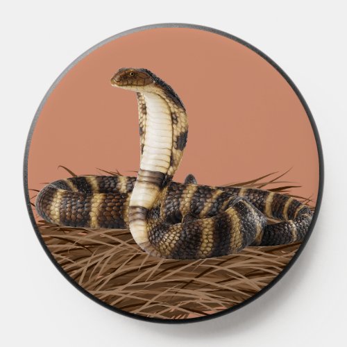 snake cobra PopSocket