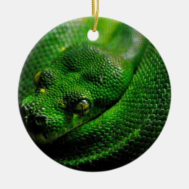 Snake Country Ceramic Ornament (Front)