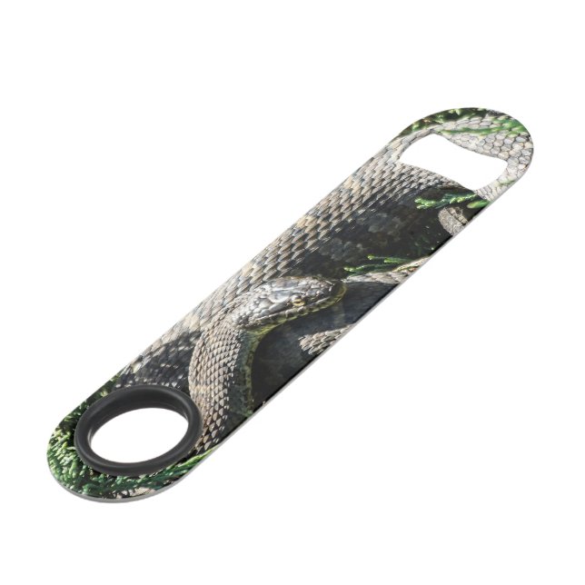 Snake Design Speed Bottle Opener (Front Angled)