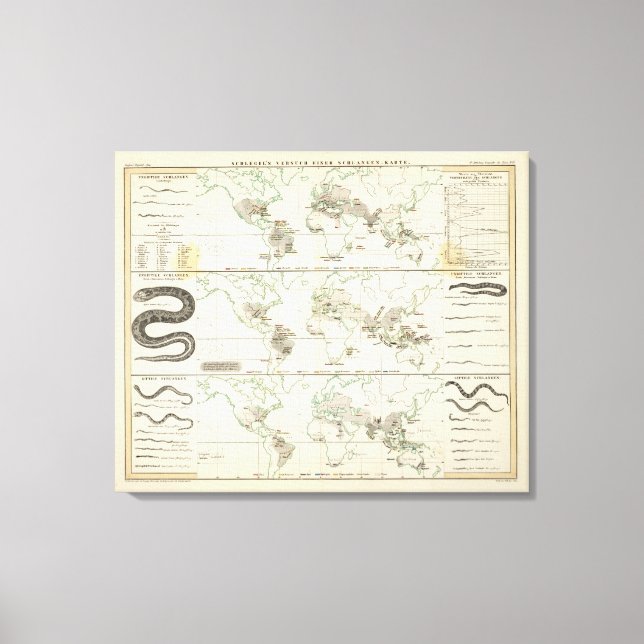 Snake Distributions Canvas Print (Front)