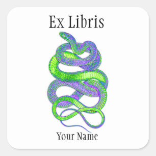 Snake Ex Libris Bookplates, Customizable Square Sticker