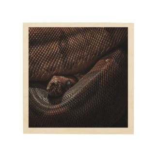 "Snake-face" Wood Wall Art