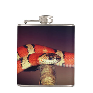 Snake Flask