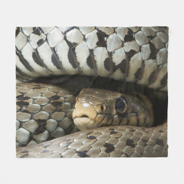 Snake Fleece Blanket (Front (Horizontal))