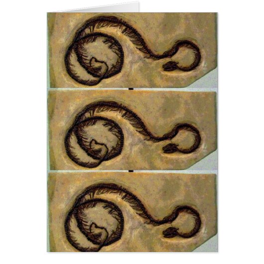 Snake Fossil CB Cards (Front)