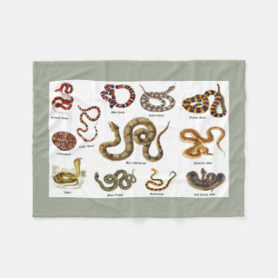 Snake Identification Blanket