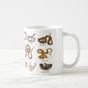 Snake Identification mug
