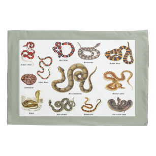 Snake Identification Pillow Case