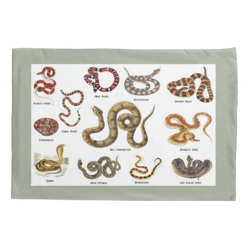 Snake Identification Pillow Case