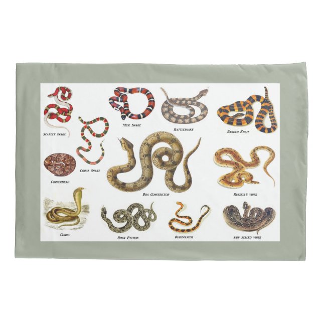 Snake Identification Pillow Case (Back)