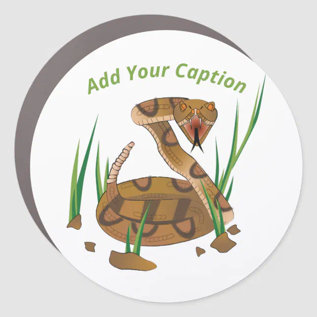 Snake in the Grass Car Magnet | Zazzle