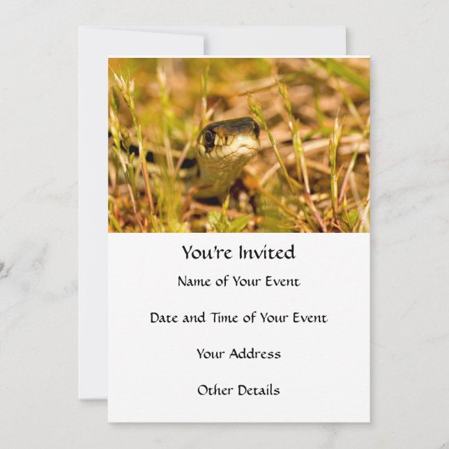 Snake in the Grass Invitation (Front)