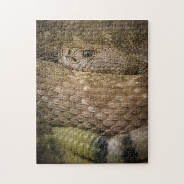 snake jigsaw puzzle (Vertical)