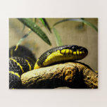 Snake Jigsaw Puzzle<br><div class="desc">An animal jigsaw by Helen A. Lisher.</div>