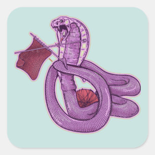 Snake Knitting Square Sticker