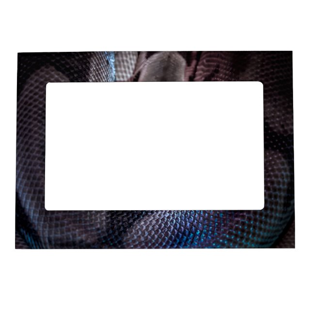Snake License Plate Frame (Front)