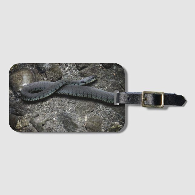 Snake Luggage Tag (Front Horizontal)