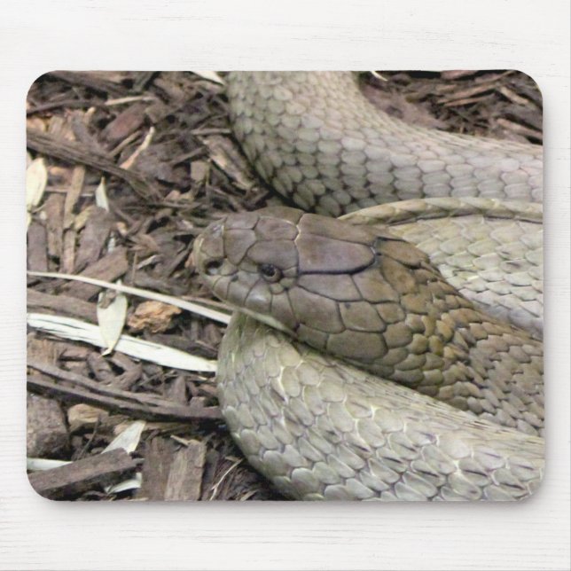 Snake Mouse Pad (Front)