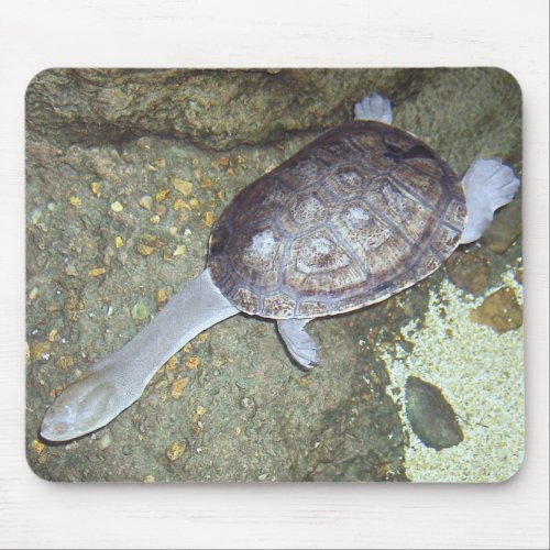 Snake Neck Turtle Mousepad 3