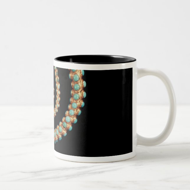 Snake necklace, 1844 Two-Tone coffee mug (Right)